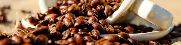 ‘Latte levy’ likely to be introduced on disposable coffee cups